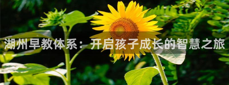 恒行娱乐登录5ll533主管一流：湖州早教体系：开启孩子成长的智慧之旅