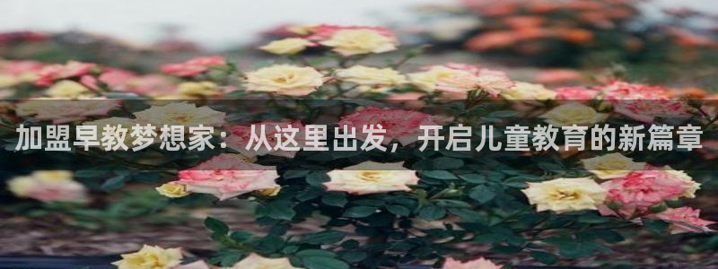 恒行2吴74OOO5：加盟早教梦想家：从这里出发，开启儿童教育的新篇章