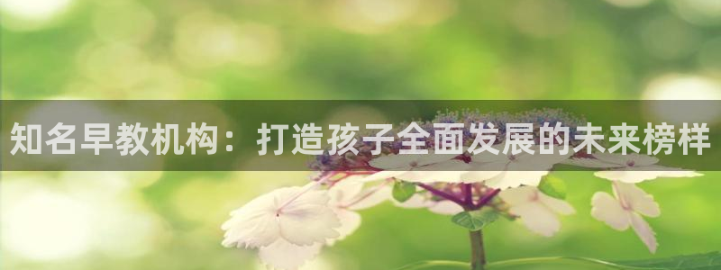 恒行招商老大诚挚 6ll5l：知名早教机构：打造孩子全面发展的未来榜样