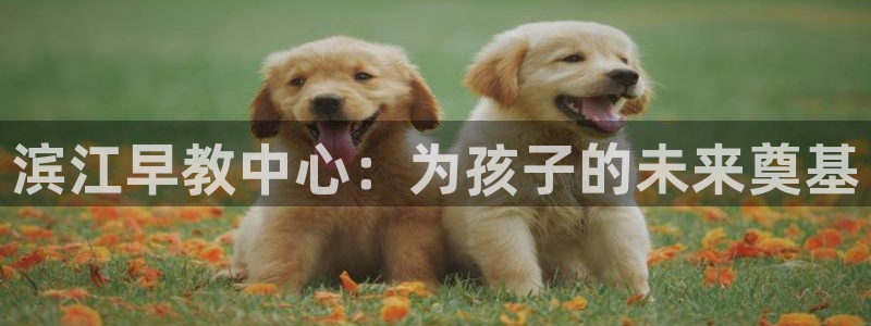 恒行娱乐陈74OOO5：滨江早教中心：为孩子的未来奠基