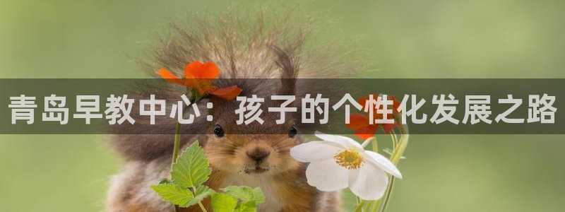 恒行娱乐景74ooo5诿抢：青岛早教中心：孩子的个性化发展之路