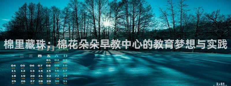 恒行娱乐卫74OOO5：棉里藏珠：棉花朵朵早教中心的教育梦想与实践