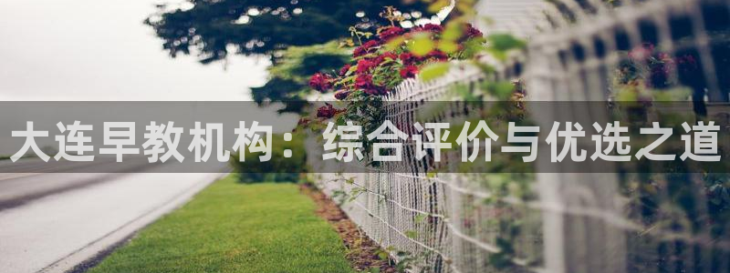 恒行2王74OOO5：大连早教机构：综合评价与优选之道