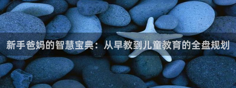 恒行2尤74OOO5：新手爸妈的智慧宝典：从早教到儿童教育的全盘规划