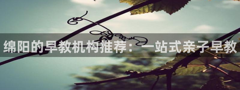 恒行2王74OOO5：绵阳的早教机构推荐：一站式亲子早教