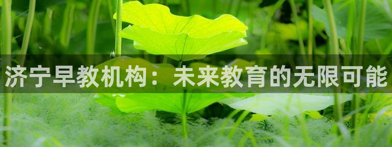恒行娱乐登录信用 74ooo5：济宁早教机构：未来教育的无限可能
