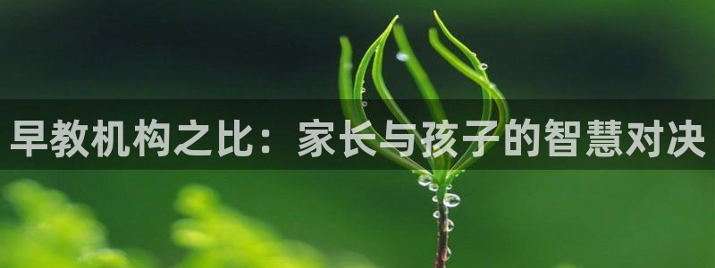 恒行5娱乐：早教机构之比：家长与孩子的智慧对决