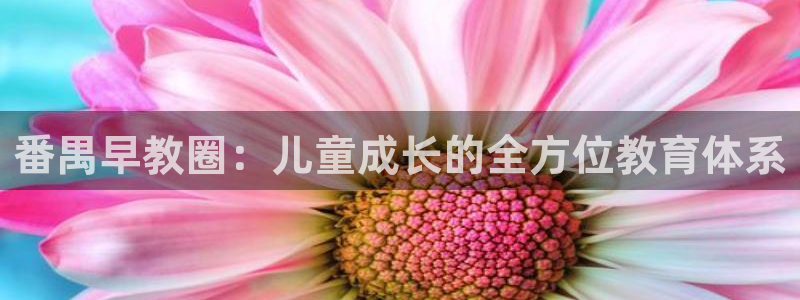 恒在5行中代表什么数字：番禺早教圈：儿童成长的全方位教育体系