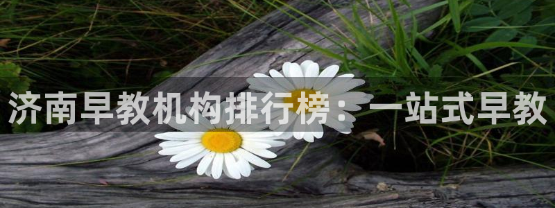 恒行娱乐5ll533主管优雅：济南早教机构排行榜：一站式早教
