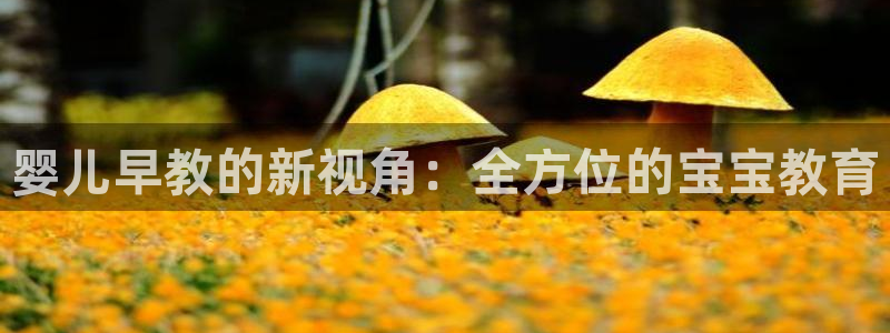 恒行娱乐见5ll533主管：婴儿早教的新视角：全方位的宝宝教育