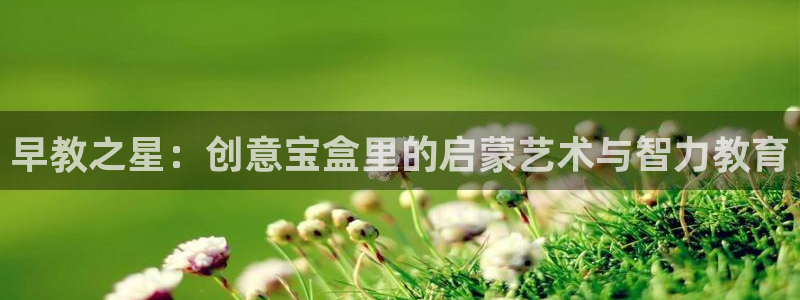 恒行主管6ll5l指定：早教之星：创意宝盒里的启蒙艺术与智力教育