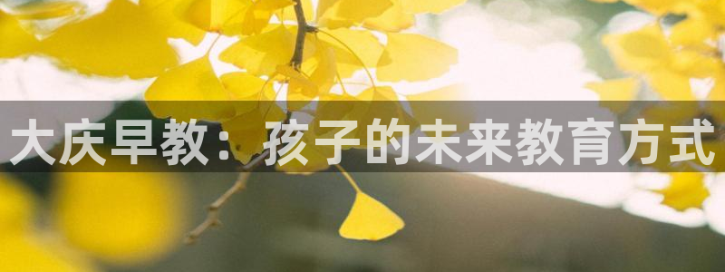 恒在5行中代表什么数字：大庆早教：孩子的未来教育方式