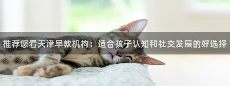 恒行开户全2O5o5O：推荐您看天津早教机构：适合孩子认知和社交发展的好选择