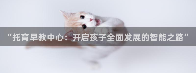 恒行2吕74OOO5：“托育早教中心：开启孩子全面发展的智能之路”