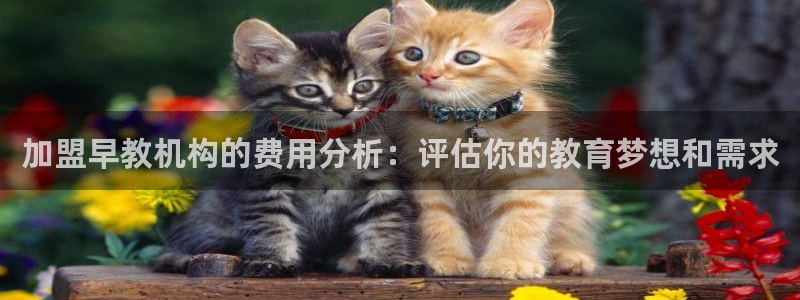恒行2那74OO5：加盟早教机构的费用分析：评估你的教育梦想和需求