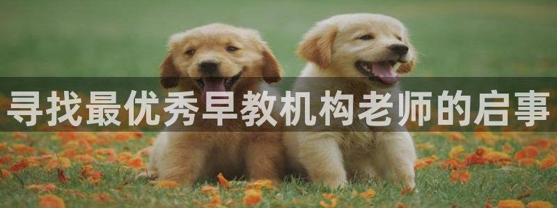 恒行主管总代6ll5l周至：寻找最优秀早教机构老师的启事