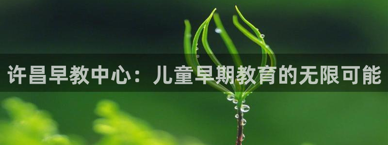 恒行开户全2O5o5O：许昌早教中心：儿童早期教育的无限可能