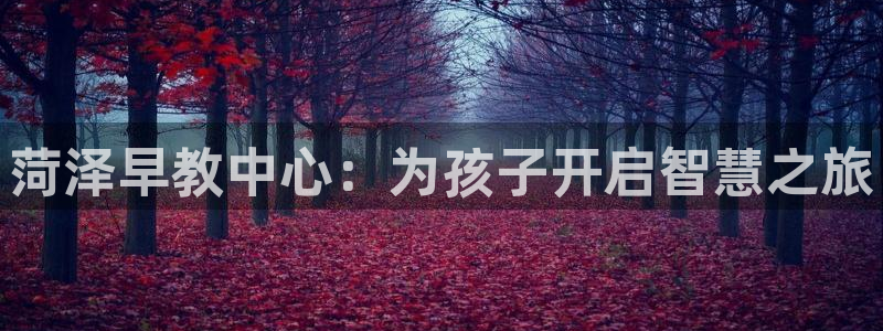 恒行娱乐冯74OOO5：菏泽早教中心：为孩子开启智慧之旅