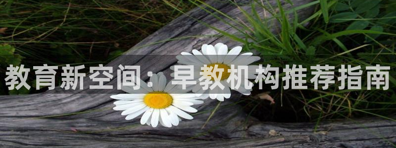 恒行娱乐掌74ooo5呀蚕：教育新空间：早教机构推荐指南