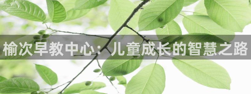 恒行2郑74OOO5：榆次早教中心：儿童成长的智慧之路