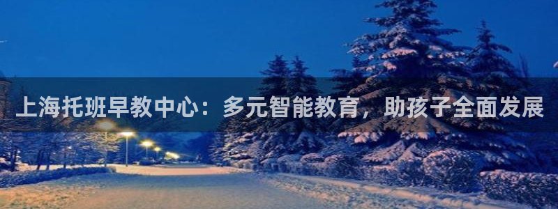 恒行5：上海托班早教中心：多元智能教育，助孩子全面发展