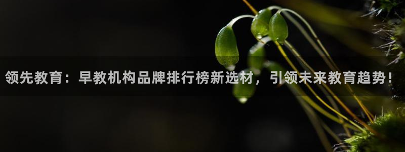 恒行登录老大6ll5l典型：领先教育：早教机构品牌排行榜新选材，引领未来教育趋势
