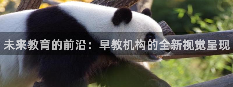恒行2周74OOO5：未来教育的前沿：早教机构的全新视觉呈现