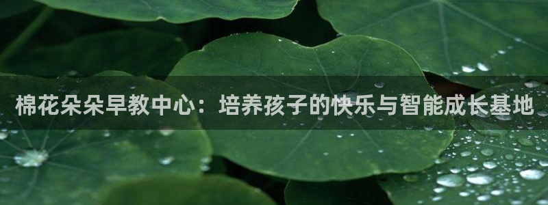 恒行2杨74OOO5：棉花朵朵早教中心：培养孩子的快乐与智能成长基地