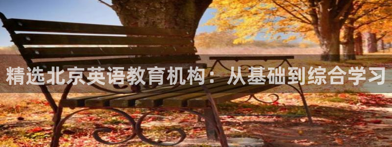 恒行2地74OOO5：精选北京英语教育机构：从基础到综合学习