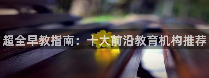 恒在5行中代表什么数字：超全早教指南：十大前沿教育机构推荐