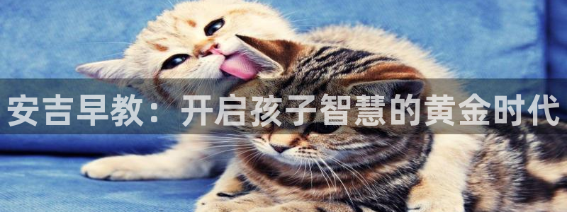 恒行2朱74OOO5：安吉早教：开启孩子智慧的黄金时代