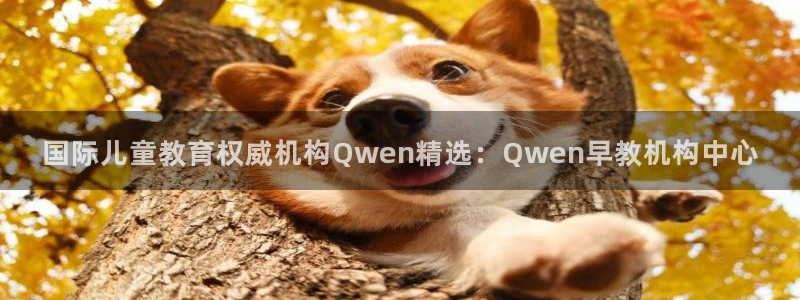 恒行2郑74OOO5：国际儿童教育权威机构Qwen精选：Qwen早教机构中心