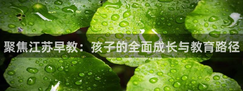 恒行娱乐毓婆74ooo5仪：聚焦江苏早教：孩子的全面成长与教育路径