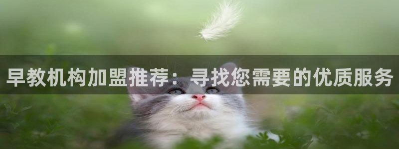 恒行3乃5O6917：早教机构加盟推荐：寻找您需要的优质服务