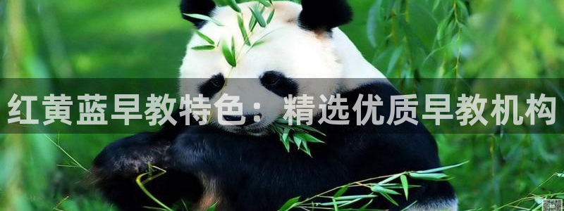 恒行2吴74OOO5：红黄蓝早教特色：精选优质早教机构