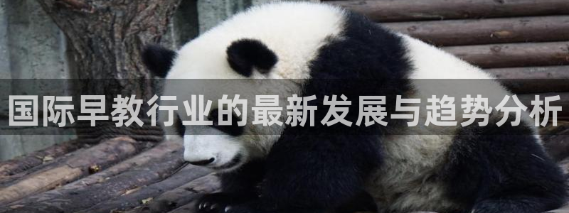 恒行娱乐陈74OOO5：国际早教行业的最新发展与趋势分析