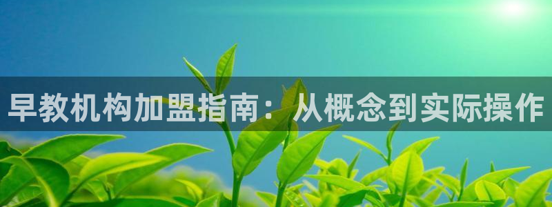 恒行开户娱乐6ll5l特惠：早教机构加盟指南：从概念到实际操作