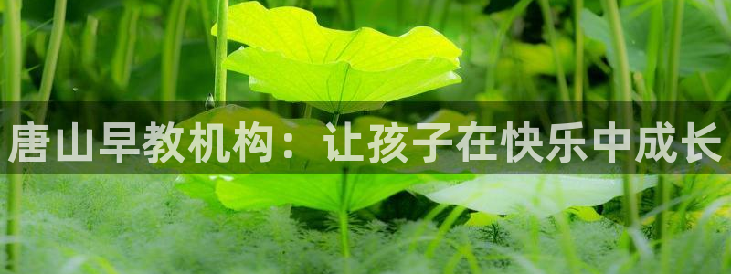 恒行2那74OOO5：唐山早教机构：让孩子在快乐中成长