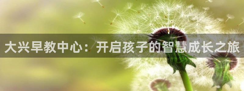 恒行娱乐河沂74ooo5程：大兴早教中心：开启孩子的智慧成长之旅