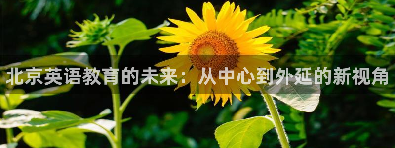 恒行娱乐5ll533主管耐心：北京英语教育的未来：从中心到外延的新视角