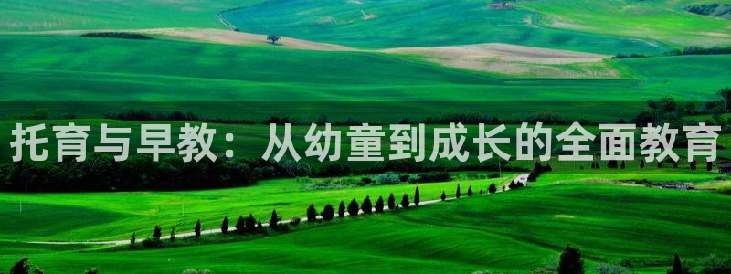 恒行娱乐5ll533主管优雅：托育与早教：从幼童到成长的全面教育