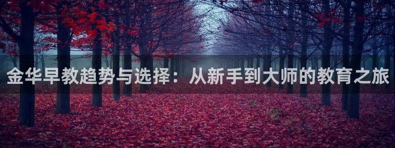 恒行2王74OOO5：金华早教趋势与选择：从新手到大师的教育之旅