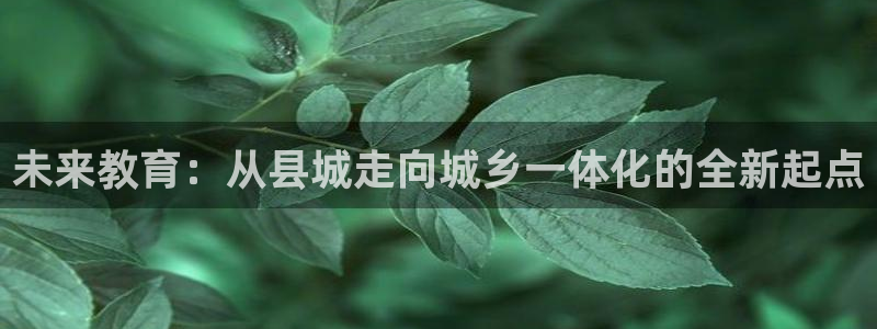 恒行2卫74OOO5：未来教育：从县城走向城乡一体化的全新起点