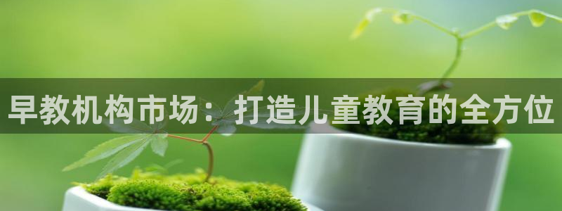 恒行2周74OOO5：早教机构市场：打造儿童教育的全方位