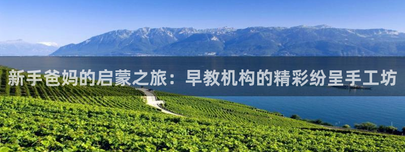 恒行2杨74OOO5：新手爸妈的启蒙之旅：早教机构的精彩纷呈手工坊