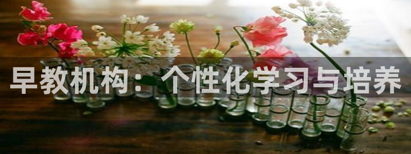 恒行2下74OOO5：早教机构：个性化学习与培养