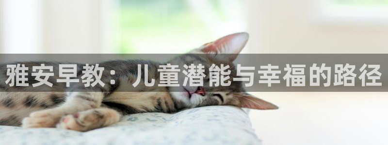 恒行娱乐登录信用 74ooo5：雅安早教：儿童潜能与幸福的路径