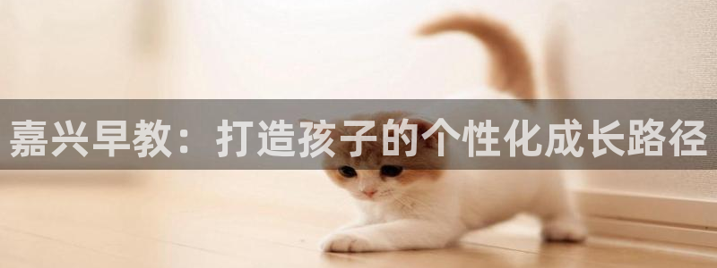 恒行2那74OO5：嘉兴早教：打造孩子的个性化成长路径