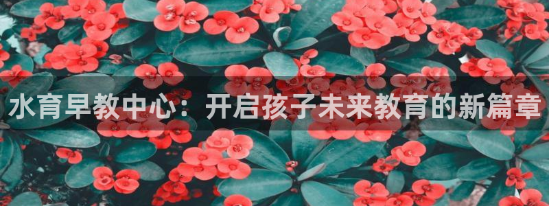 恒行注册全2O5O5O：水育早教中心：开启孩子未来教育的新篇章