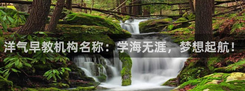 恒行招商老大诚挚 6ll5l：洋气早教机构名称：学海无涯，梦想起航！